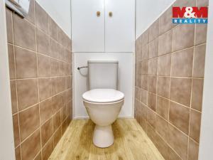 Prodej bytu 2+kk, Plzeň - Lobzy, Masarykova, 41 m2