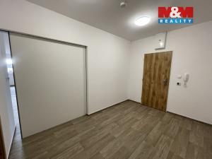 Pronájem bytu 2+kk, Ostrava - Vítkovice, Lidická, 99 m2