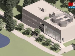 Prodej komerčního pozemku, Havlovice, 8238 m2