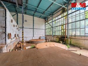 Prodej komerčního pozemku, Havlovice, 8238 m2