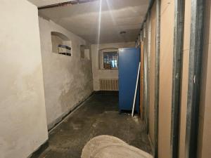 Pronájem obchodního prostoru, Nové Město pod Smrkem, Mírové náměstí, 150 m2