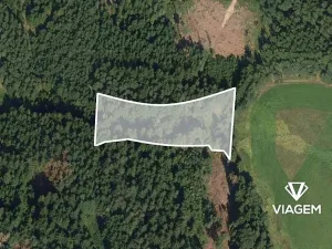 Prodej podílu lesa, Studnice, 2072 m2