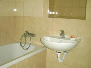 Pronájem bytu 1+1, Brno, Dřevařská, 54 m2