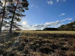 Prodej podílu lesa, Březovice, 36905 m2