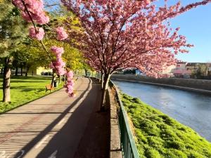 Prodej bytu 2+1, Břeclav, Slovácká, 51 m2