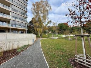 Pronájem bytu 1+kk, Praha - Břevnov, Radimova, 38 m2