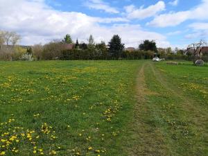 Prodej komerčního pozemku, Radomyšl, 10000 m2