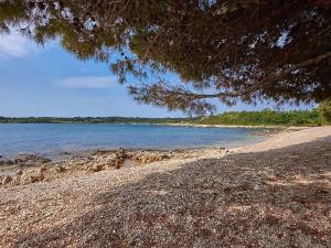 Prodej rodinného domu, Ližnjan, Chorvatsko, 80 m2