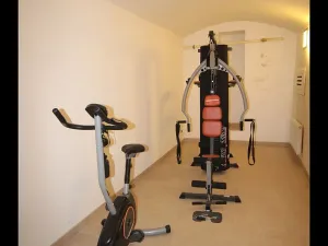 Prodej bytu 2+kk, Praha - Nové Město, Hálkova, 60 m2