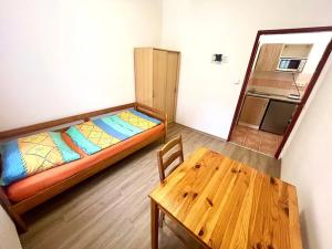 Pronájem bytu 1+kk, Praha - Košíře, Holečkova, 20 m2