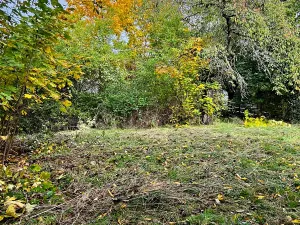 Prodej vícegeneračního domu, Praha - Koloděje, Solnická, 300 m2