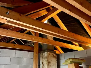 Prodej vícegeneračního domu, Praha - Koloděje, Solnická, 300 m2