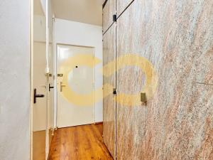 Prodej bytu 1+kk, Praha - Braník, Vavřenova, 25 m2