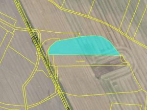 Prodej podílu louky, Cerhenice, 10056 m2