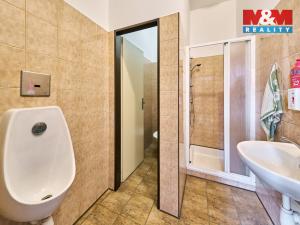 Prodej výrobních prostor, Dubenec, 453 m2