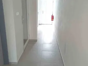 Prodej bytu 4+kk, Přísnotice, Výhon, 151 m2