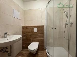 Prodej bytu 2+kk, Brno, Koliště, 40 m2