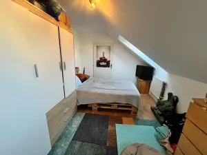 Pronájem rodinného domu, Dobronín, 250 m2