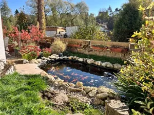 Pronájem rodinného domu, Dobronín, 250 m2