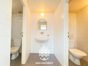 Pronájem komerční nemovitosti, Havířov, Kosmonautů, 77 m2