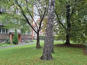 Prodej bytu 1+1, Frýdek-Místek, Bezručova, 35 m2