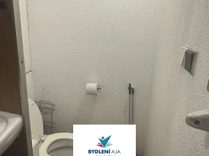Prodej bytu 1+kk, Teplice, Přítkovská, 31 m2