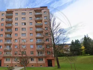 Prodej bytu 1+kk, Jeseník, Zeyerova, 25 m2