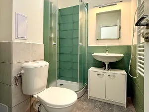Prodej bytu 1+kk, Ostrava, Palackého, 31 m2