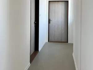 Prodej bytu 1+kk, Ostrava, Palackého, 31 m2