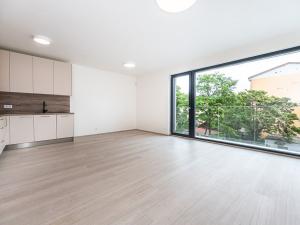 Pronájem bytu 3+kk, Praha - Libeň, Kotlaska, 84 m2