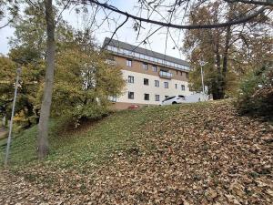 Prodej bytu 4+kk, Cheb, Hradební, 113 m2