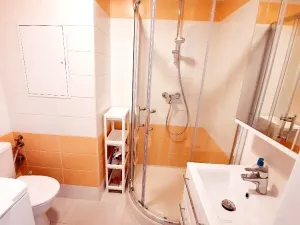 Prodej bytu 1+1, Praha - Podolí, Kaplická, 33 m2