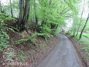 Dražba pozemku, Medonosy, 15430 m2