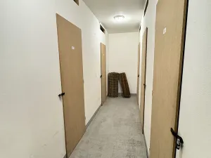 Pronájem bytu 1+kk, Kladno, Generála Selnera, 35 m2