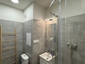 Pronájem bytu 1+kk, Rožnov pod Radhoštěm, Valašská, 28 m2