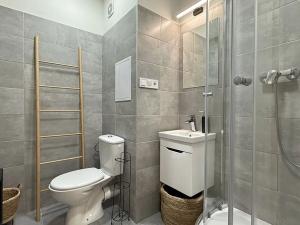 Pronájem bytu 1+kk, Rožnov pod Radhoštěm, Valašská, 28 m2