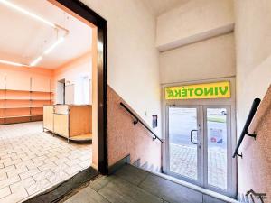 Prodej rodinného domu, Bohumín, Štefánikova, 290 m2