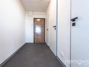 Pronájem bytu 1+kk, Praha - Chodov, Tererova, 42 m2