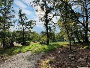 Prodej lesa, Postupice, 1363 m2