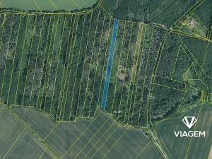 Prodej podílu lesa, Lukovany, 7046 m2