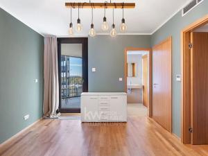 Pronájem bytu 2+kk, Praha - Žižkov, Pitterova, 77 m2