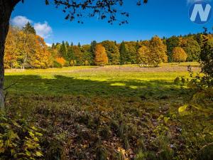Prodej louky, Stožec, 6572 m2