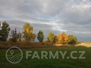 Prodej pole, Vráž, 17027 m2