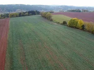 Dražba pole, Staré Buky, 71140 m2