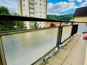 Prodej bytu 3+1, Karlovy Vary, Šumavská, 66 m2