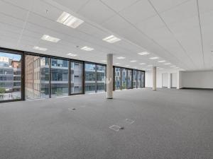 Pronájem kanceláře, Praha - Holešovice, Jankovcova, 603 m2