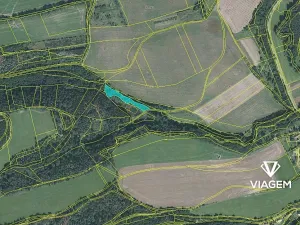 Prodej podílu lesa, Horní Poříčí, 1352 m2