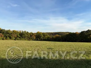 Prodej pole, Roztoky, 40596 m2