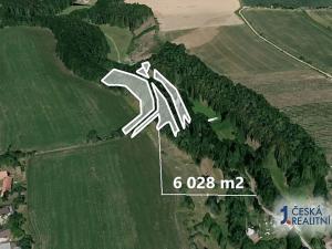 Prodej podílu lesa, Velký Třebešov, 586 m2