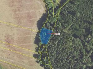 Dražba lesa, Sýkořice, 1242 m2